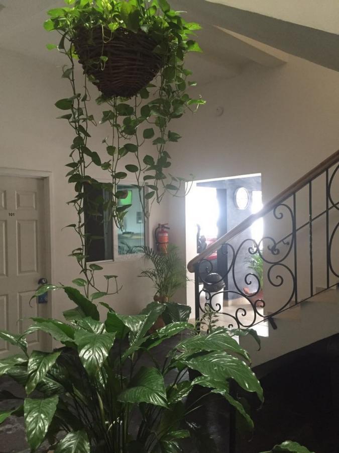 Casa Del Parque Vallarta 巴亞爾塔港 外观 照片